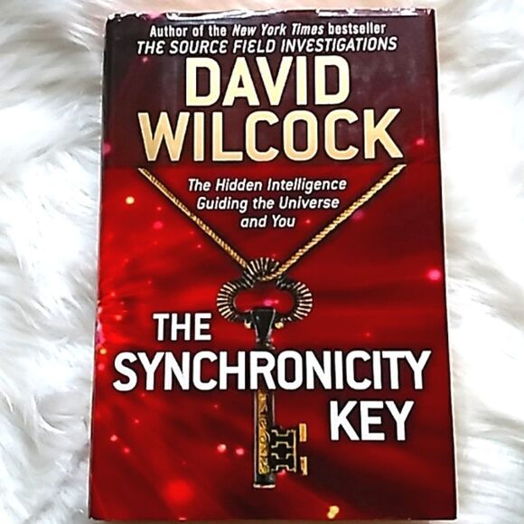 The Synchronicity Key hardcover book David Wilcox - Picture 11 of 12
